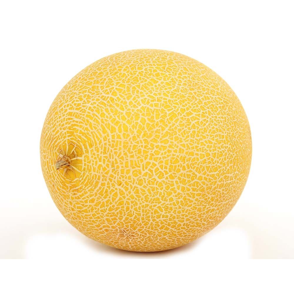 Melone Galia von Manss Frischeservice