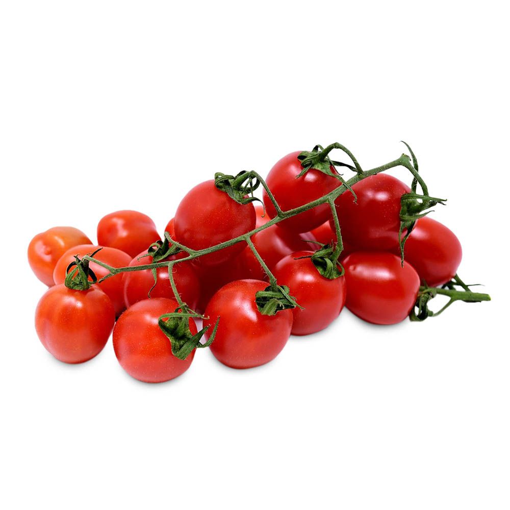 Tomaten Cocktailstrauchtomaten Rote Perle von Manss Frischeservice