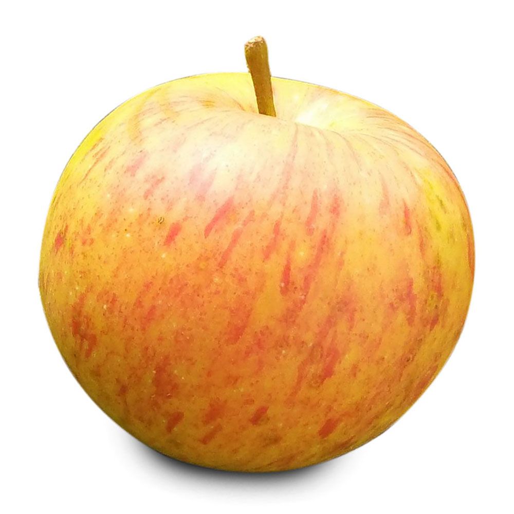 Apfel Boskop von Manss Frischeservice