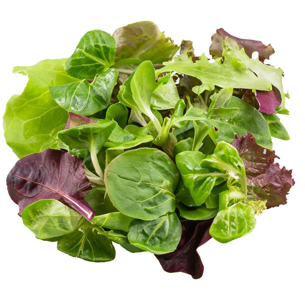 Salat Baby Leaf grand mix von Manss Frischeservice